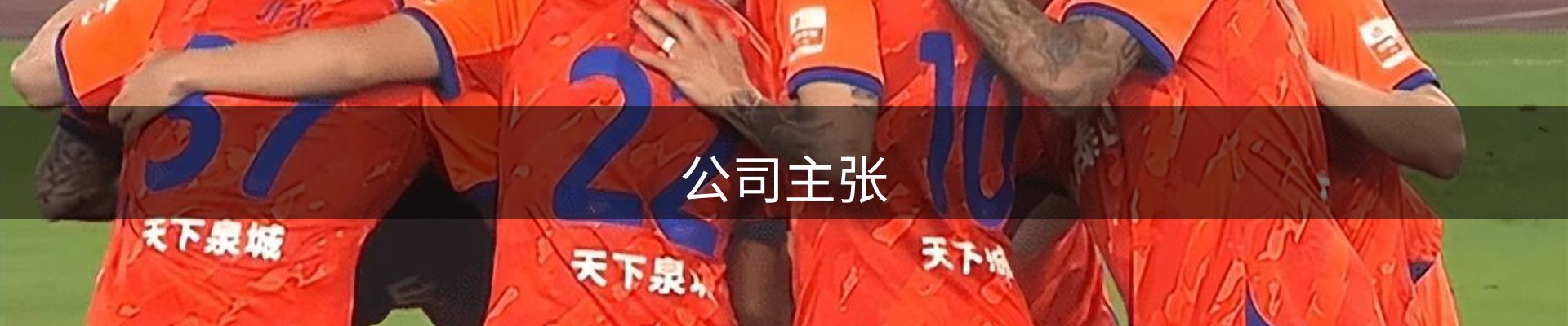 公司主张